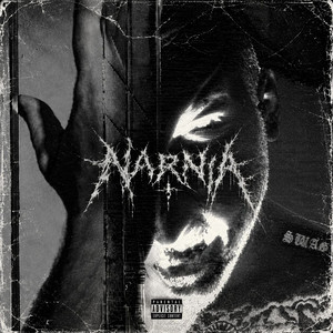 کاور آهنگ Narnia از Hatam