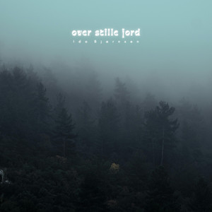 stille som himlen by Ida Bjørnsen