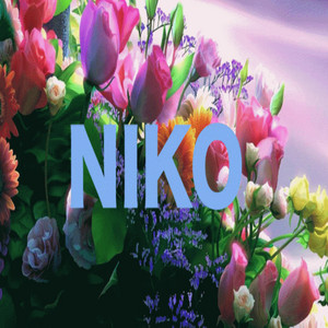 Iulian Grigoras - Niko Taxi