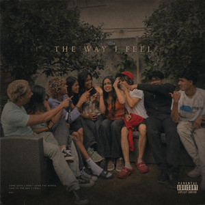 THE WAY I FEEL by Raeem