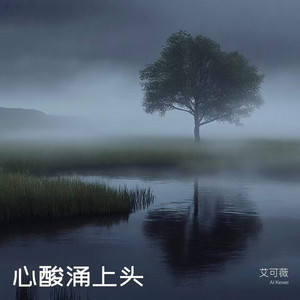 心酸涌上头 by 艾可薇