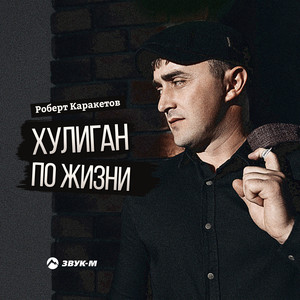 Хулиган по жизни by Роберт Каракетов