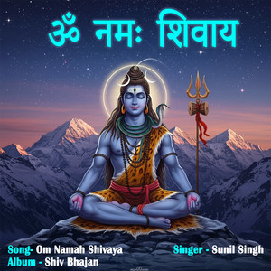 Om Namah Shivaya