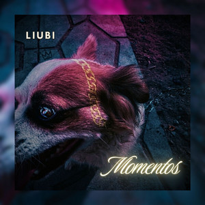 Momentos by LIUBI