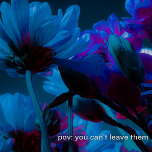 Portada de Foolish