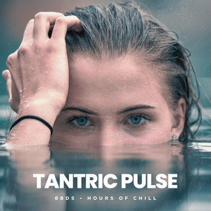 Tantric Pulse - Tantric Music by 88DS