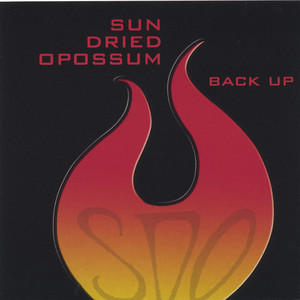 Back Up by Sun Dried Opossum