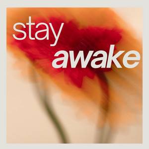 Stay Awake by Nothing But Hate