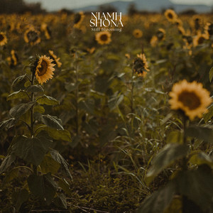 Still Blooming by Niamh Shona