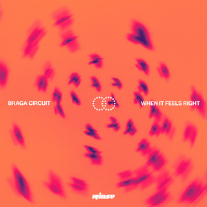 When It Feels Right by Braga Circuit