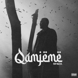 Qamjeme by Shiza