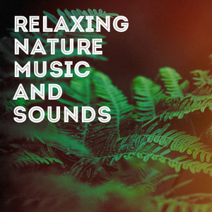 Relaxing Nature Music and Sounds album
