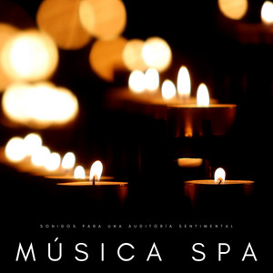Música Spa: Sonidos Para Una Auditoría Sentimental album