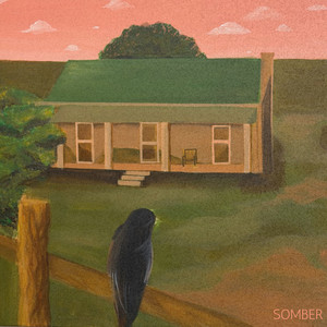 SOMBER by Kid Lennon, Malcolm Tree