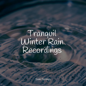 Tranquil Winter Rain Recordings album