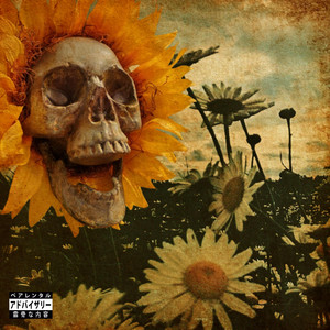 Santa Muerte Summer by Wildcard