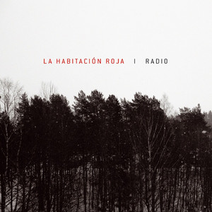 Radio cover
