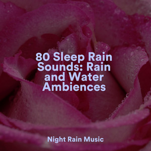 80 Sleep Rain Sounds: Rain and Water Ambiences album