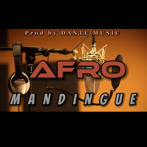 Danté Music - Afro mandingue vol 3