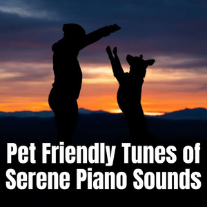 Pet Friendly Tunes of Serene Piano Sounds album