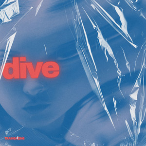 Dive by Traingazing