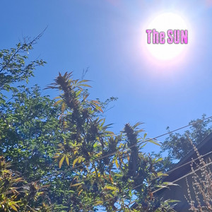 The SUN by Natethoven, Diemond D