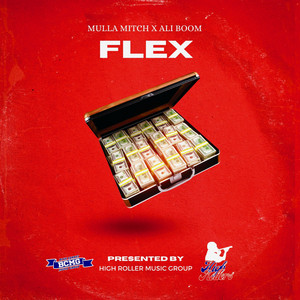 Portada de Flex