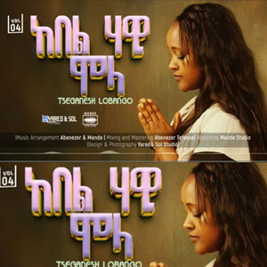 የክርስቲያን መዝሙር - ፀገነሽ ሎበንጎ track 5