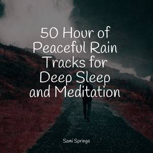 50 Hour of Peaceful Rain Tracks for Deep Sleep and Meditation album