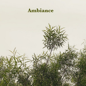Ambiance by Gabb., Racasse