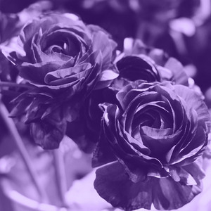 Falling in Love, Pt. 1 by Lilac