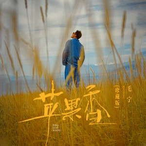 苹果香 - 珍藏版 by 毛宁