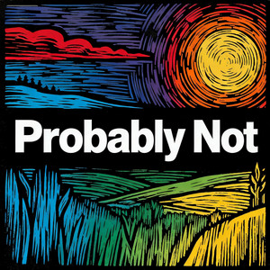 Dark Fly - Probably Not