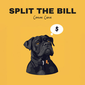split the bill by Corse Cane