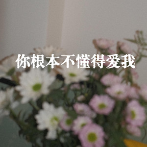根本你不懂得爱我 - 国语版 by 烟(许佳豪)