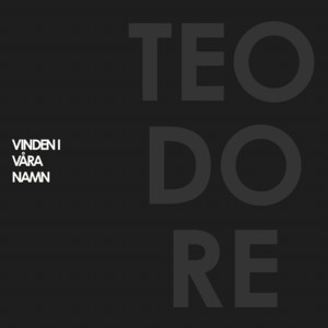 VINDEN I VÅRA NAMN - Radio Edit by Teodore