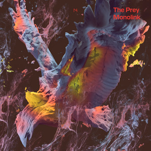 Portada de The Prey