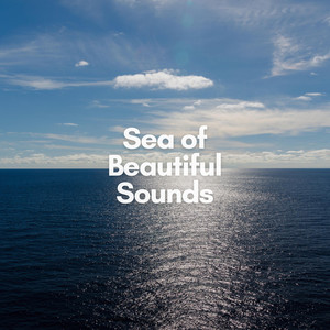Sea of Beautiful Sounds album