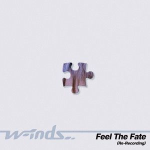 Feel The Fate - Re-Recording by w-inds.