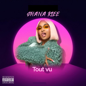 Tout vu Tout Compris by SHANA KLEE