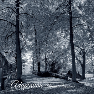 Adaptation (Alternate Version) by Anthem of Rain
