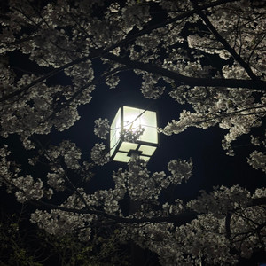 yedira & Zhe Kamil - don't care