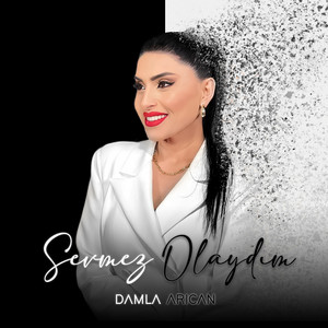 Damla Arıcan - Sevmez Olaydım