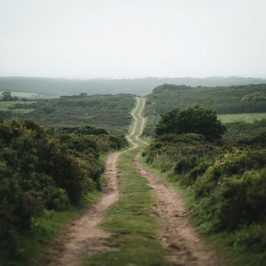 sendero by Blazeevory kg