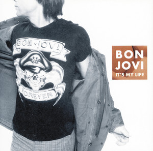 It's My Life - Single by Bon Jovi | Spotify
