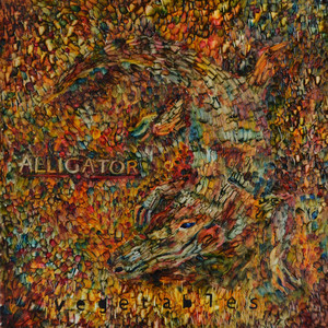 Alligator