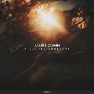 A Gentle Sunlight by James Quinn
