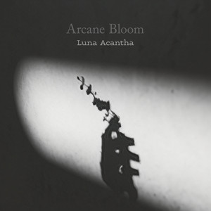 Arcane Bloom by Luna Acantha