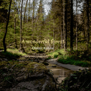 A wonderful forest