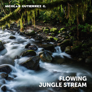 Flowing Jungle Stream by Nicolas Gutierrez G.